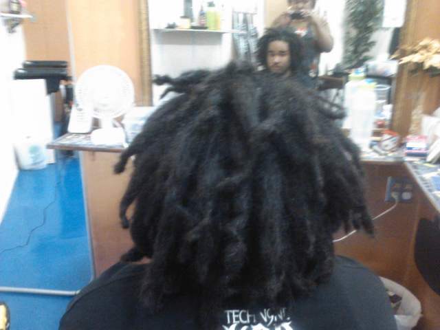 Back Combing Dreadlocks Backcombing Dreads I Did 